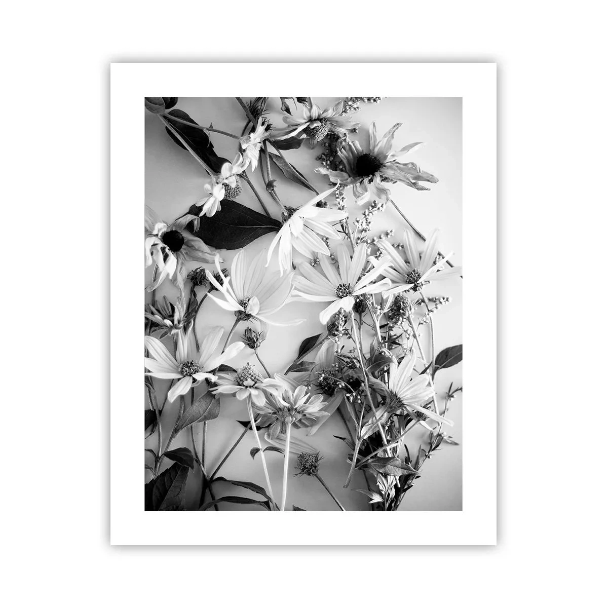Poster - Niet-boeket bloemen - 40x50 cm