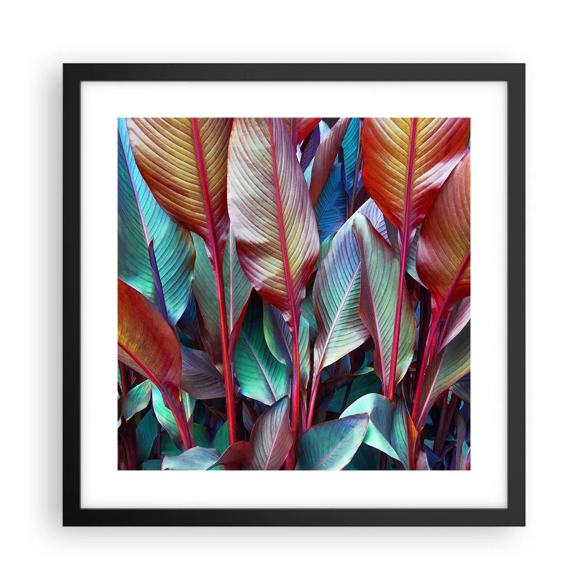 Poster in een zwarte lijst - Een kleurrijk struikgewas - 40x40 cm