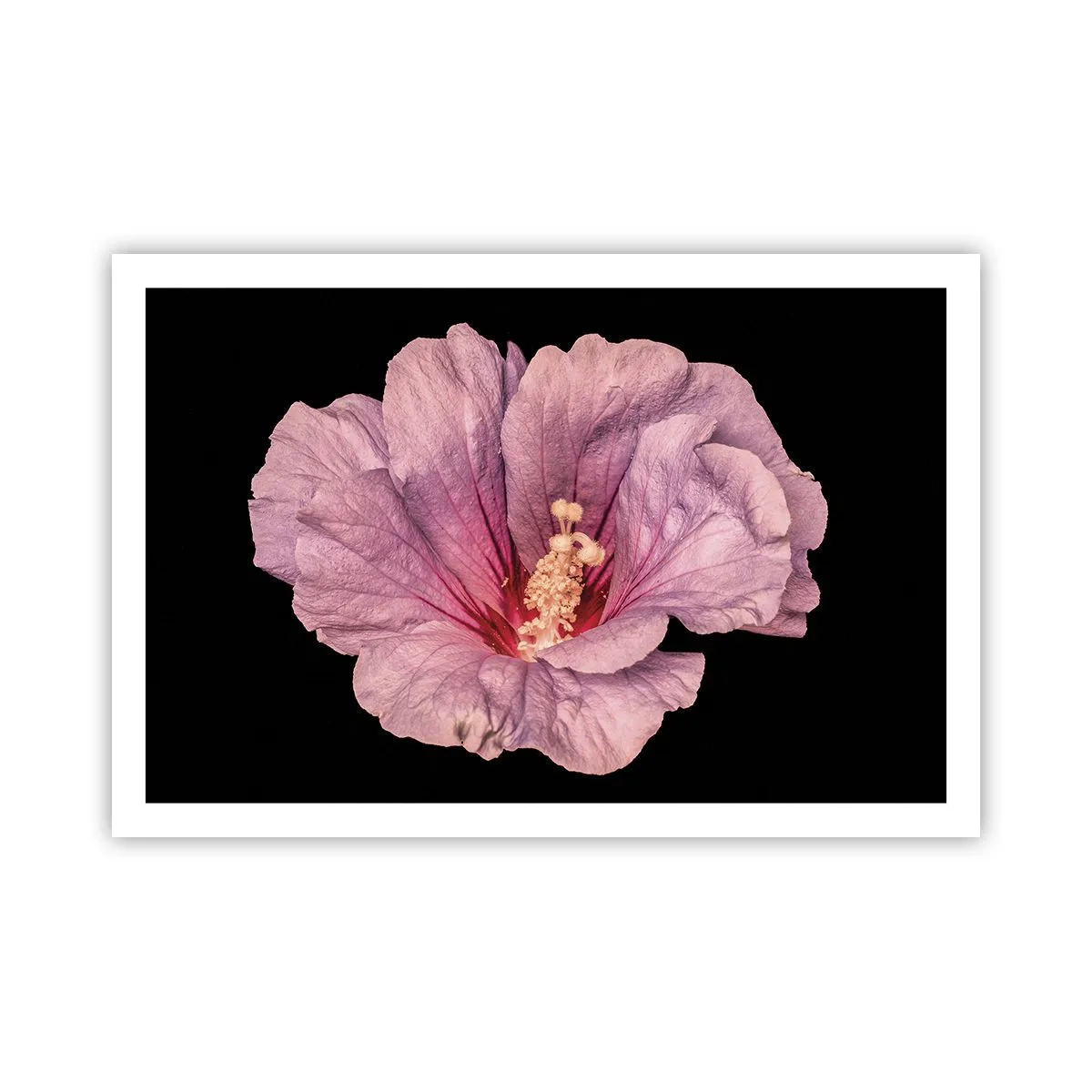 Poster - Recht in het hart - 91x61 cm