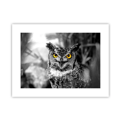 Poster - Niets zal zich verbergen - 40x30 cm