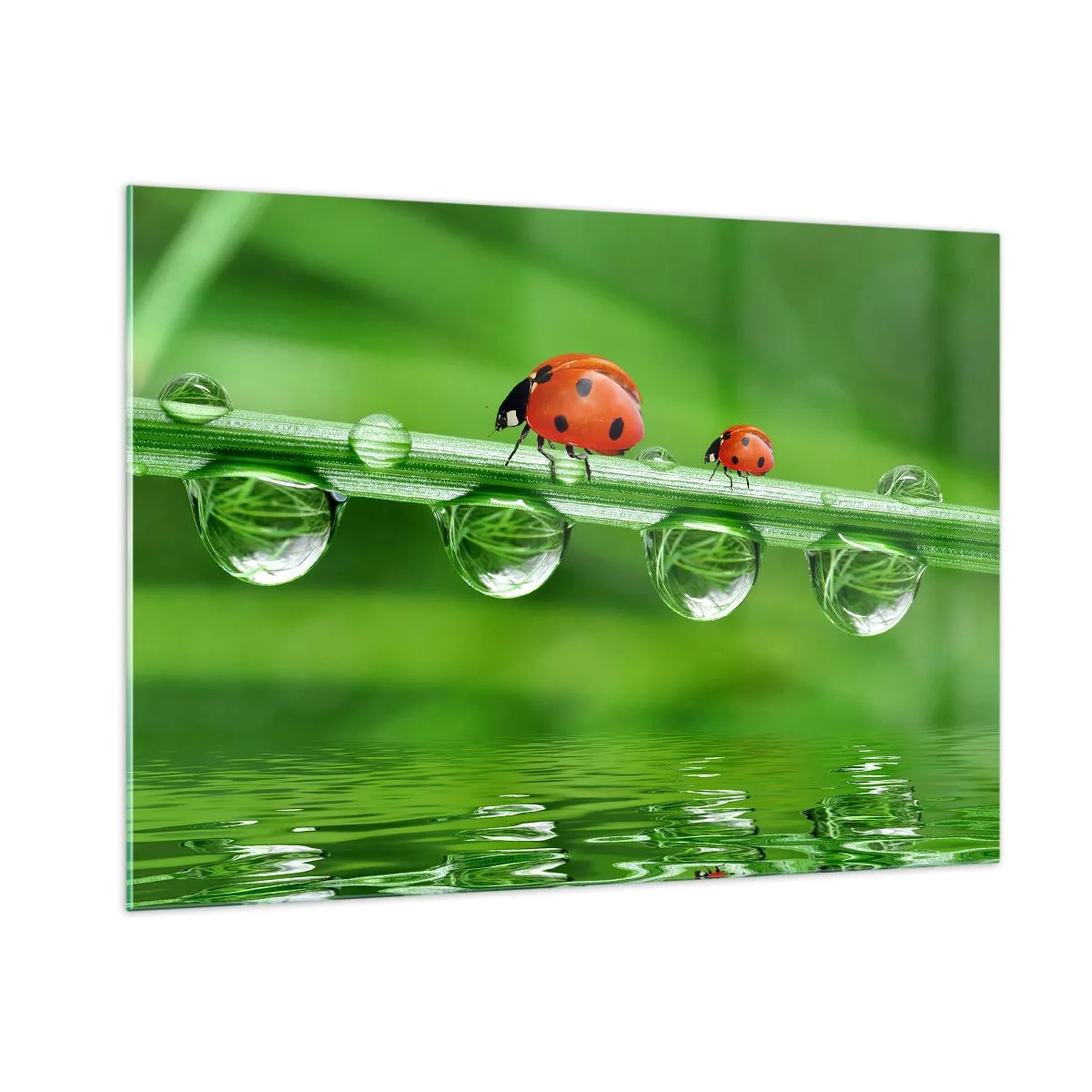 Schilderen op glas - De hele zomer onderweg - 100x70 cm