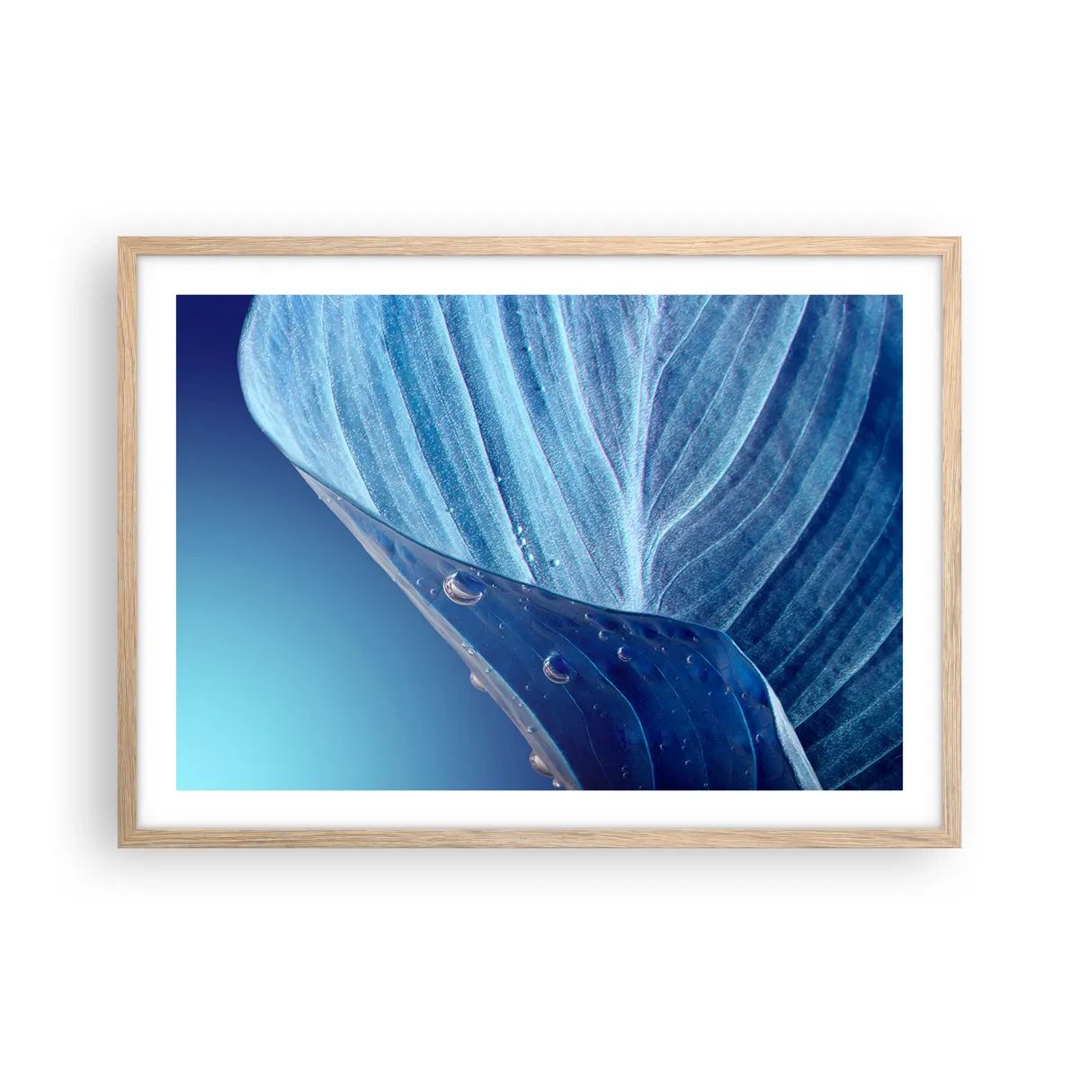 Een poster in een licht eiken lijst - Verborgen druppels blauw - 70x50 cm