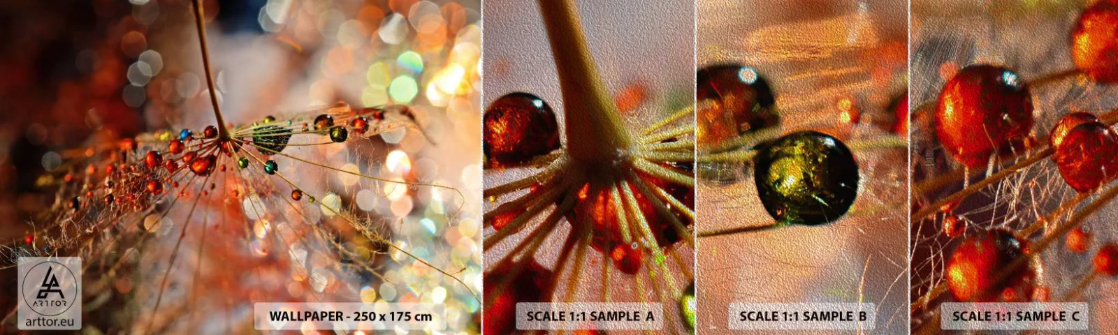 Fotobehang Monster Premium Sand - Geregen op een spinnendraad - Abstractie, spinnenweb, Deel - 100x30 cm