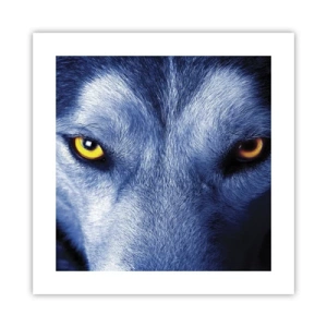 Poster - Betoverende look - 40x40 cm