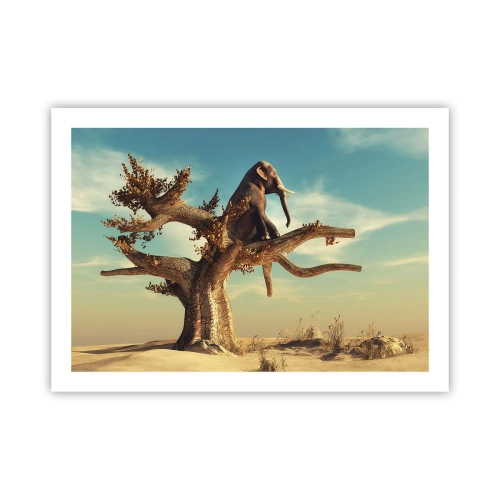 Poster - Een nieuw gezichtspunt - 70x50 cm