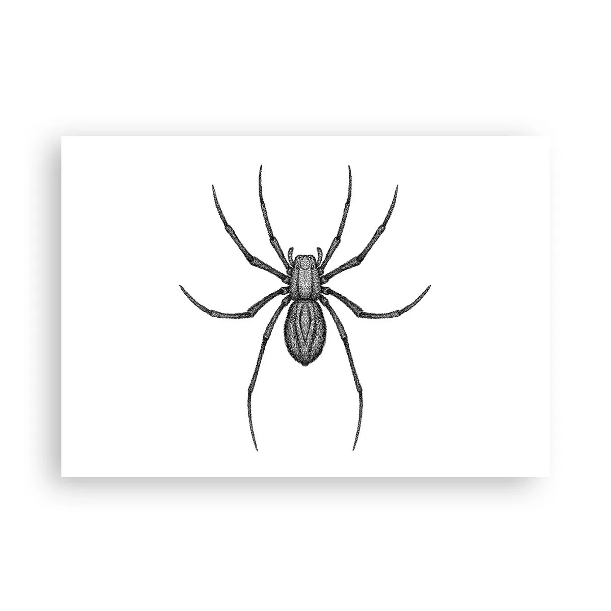 Poster - Verontrustende precisie - 100x70 cm