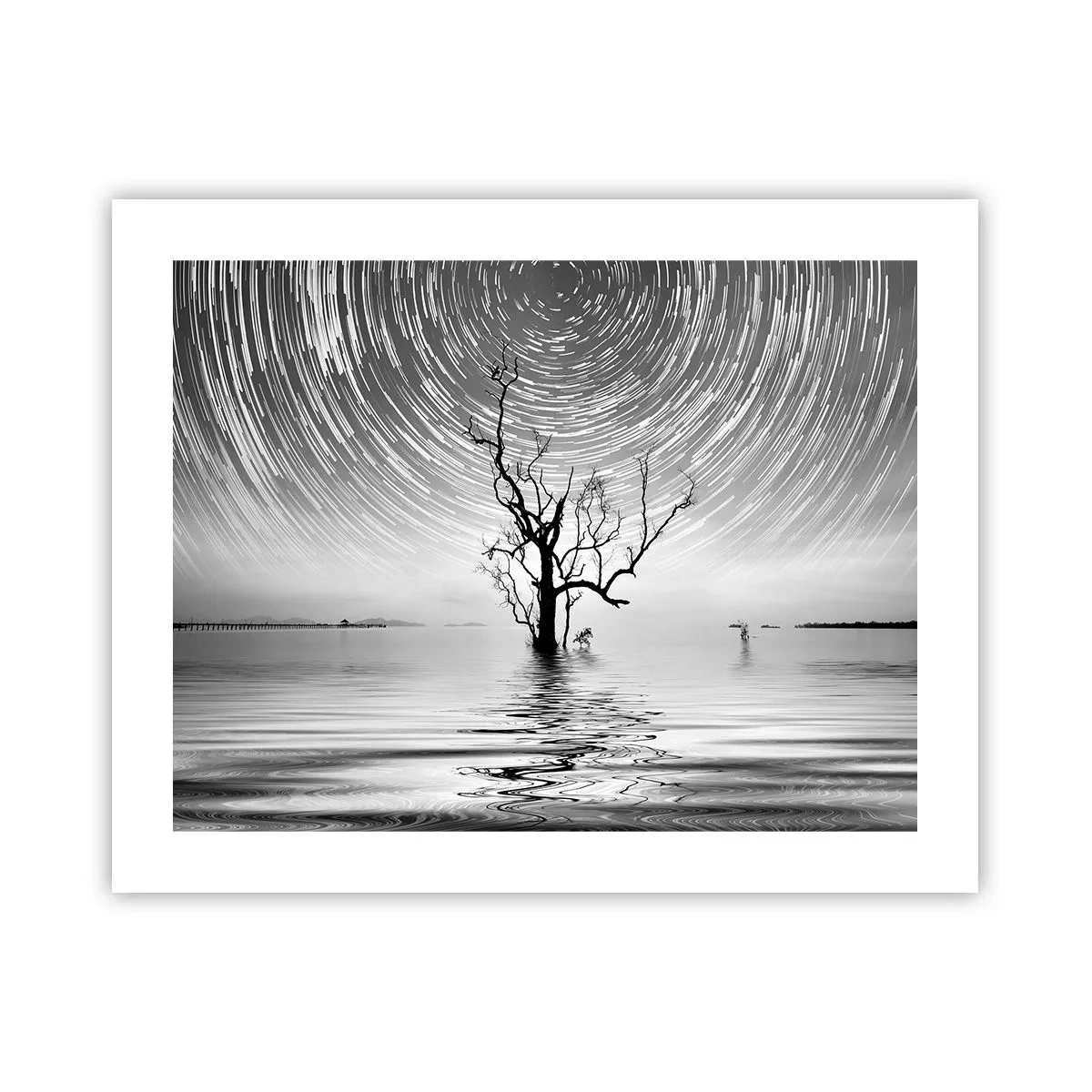 Poster - Een symfonie van de natuur - 50x40 cm