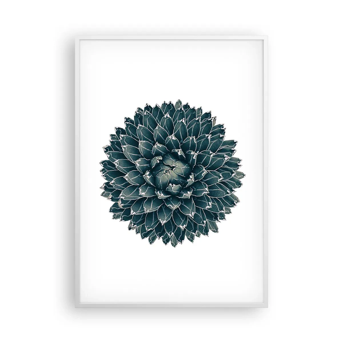 Poster in een witte lijst - De ster van de woestijn - 70x100 cm