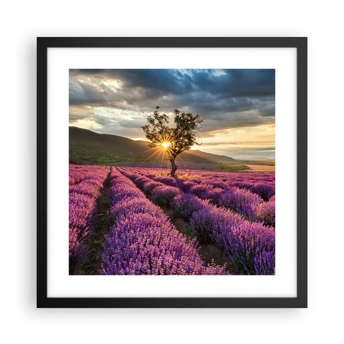 Poster in een zwarte lijst - Lila gekleurd aroma - 40x40 cm