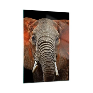 Schilderen op glas - Ik ben wild, en jij? - 50x70 cm