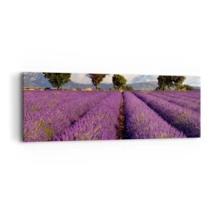 Schilderen op canvas - Lavendel velden - 90x30 cm