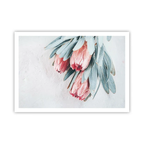 Poster - Schaamt zich voor hun eigen schoonheid - 100x70 cm