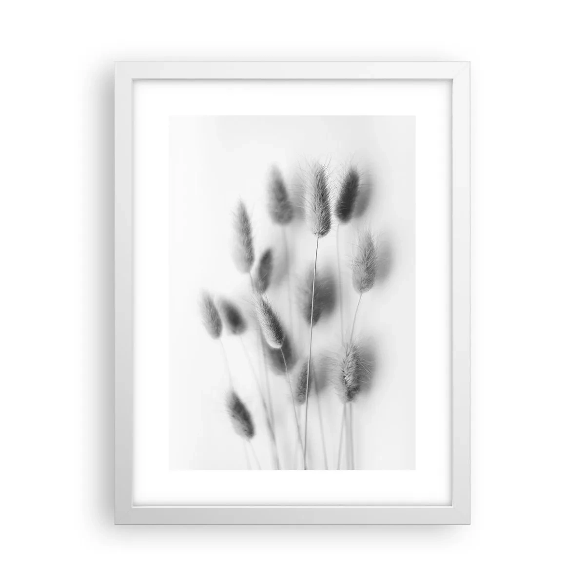 Poster in een witte lijst - Haar luchtigheid gras - 30x40 cm