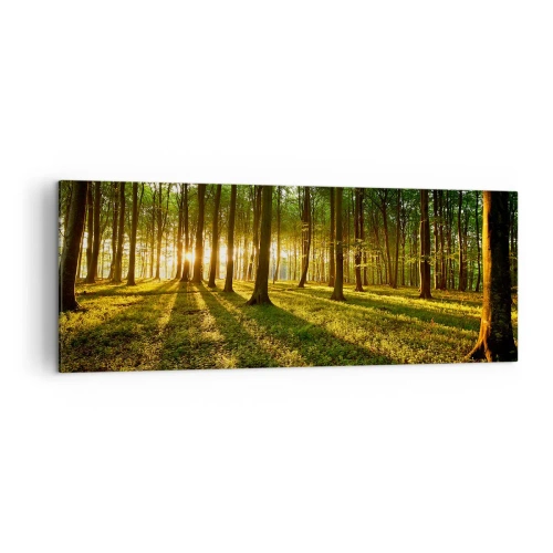 Schilderen op canvas - Foto van de hele lente - 140x50 cm