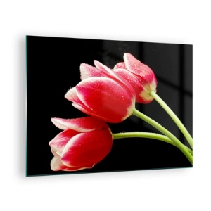 Schilderen op glas - Rode tulpen met dauwdruppels op een zwarte achtergrond - 70x50cm - Een belofte van pure liefde - Moderne wanddecoratie voor woonkamer en slaapkamer ARTTOR