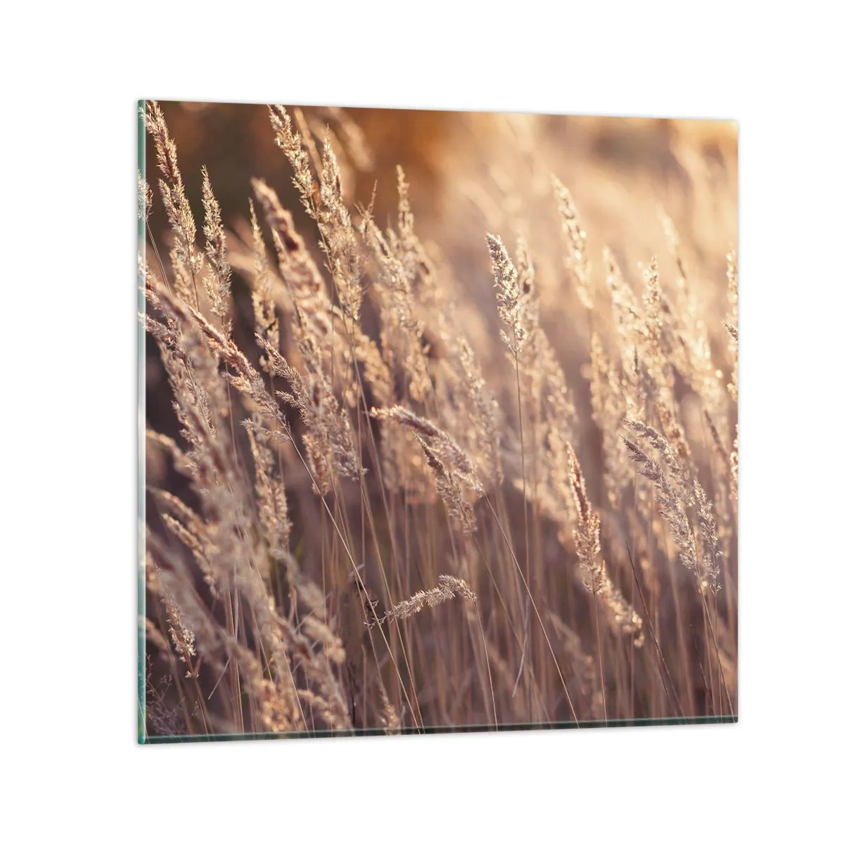 Schilderen op glas - Klaar om de herfst te verwelkomen - 70x70 cm