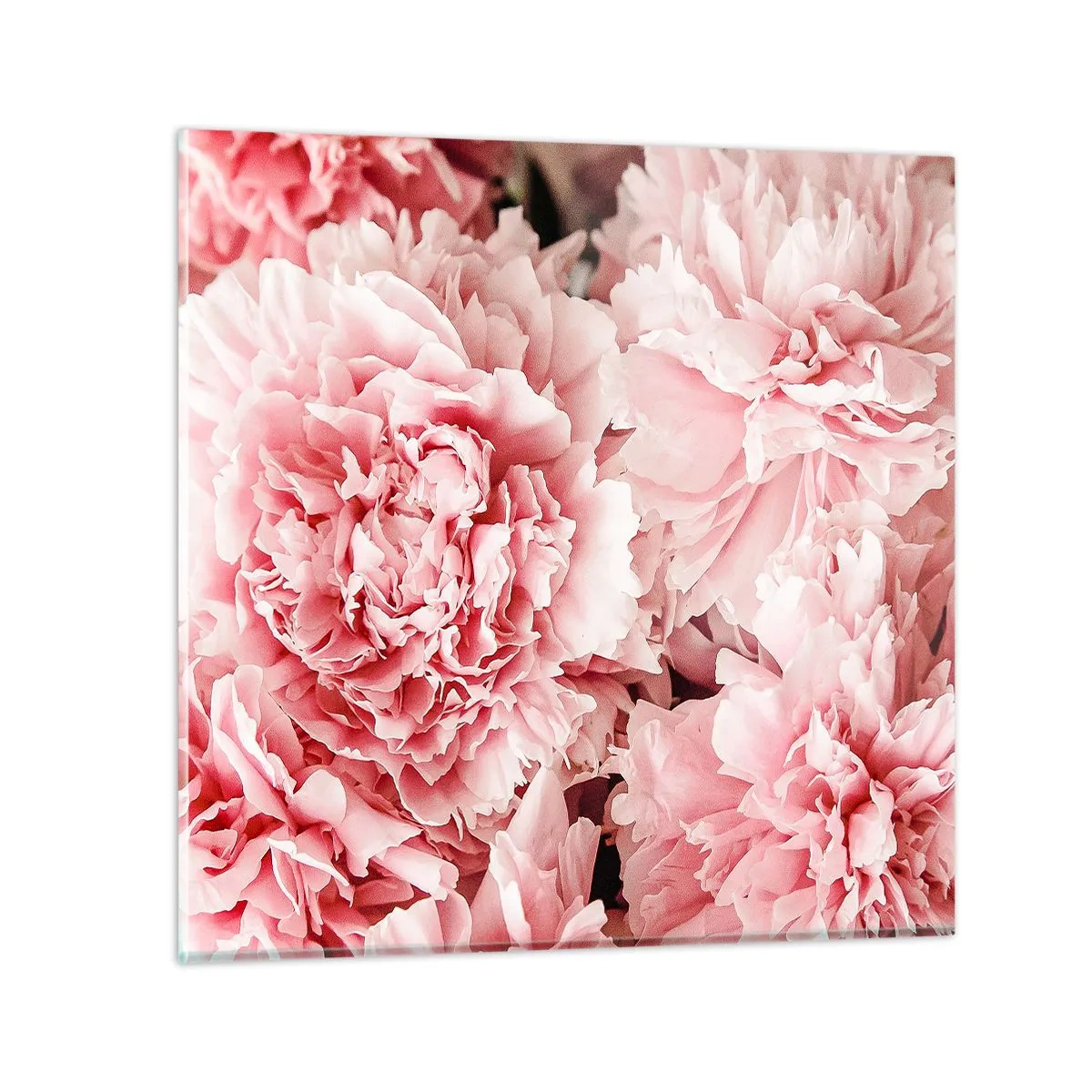 Schilderen op glas - Roze droom - 40x40 cm