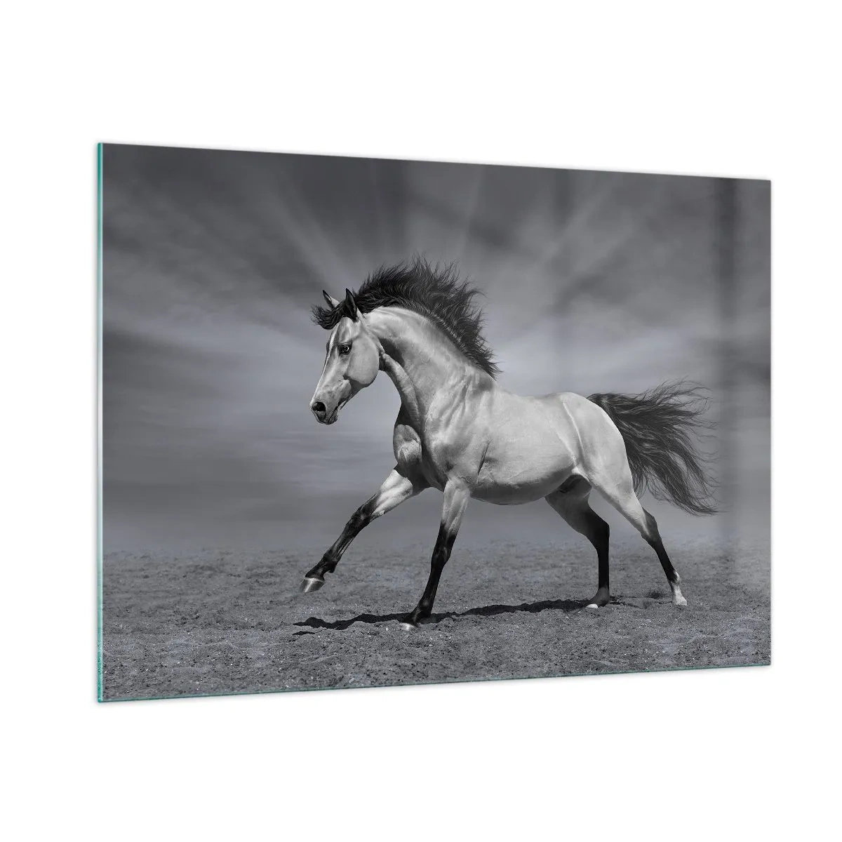 Schilderen op glas - Geboren om te genieten - 100x70 cm