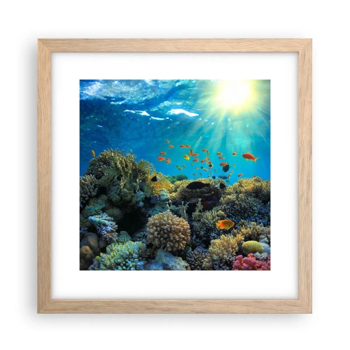 Een poster in een licht eiken lijst - Onderwater schatten - 30x30 cm