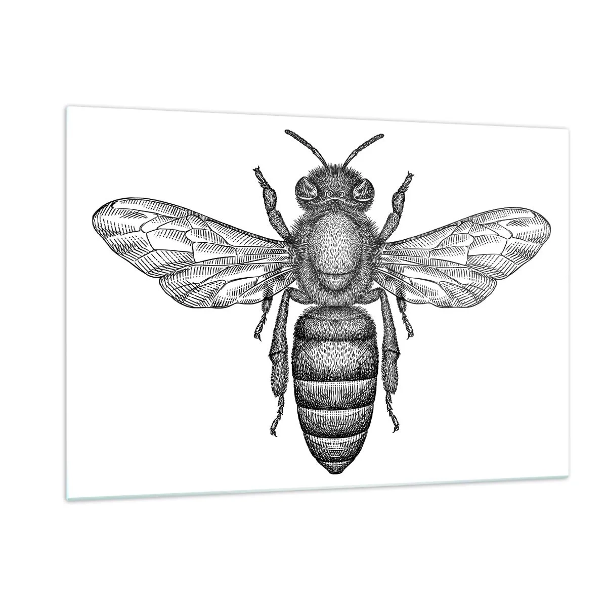 Schilderen op glas - Insectenportret - 120x80 cm