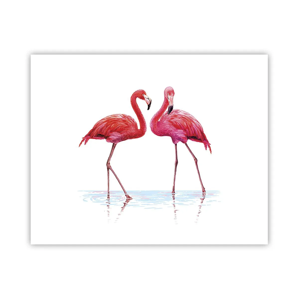Poster - Roze randez-vous - 50x40 cm