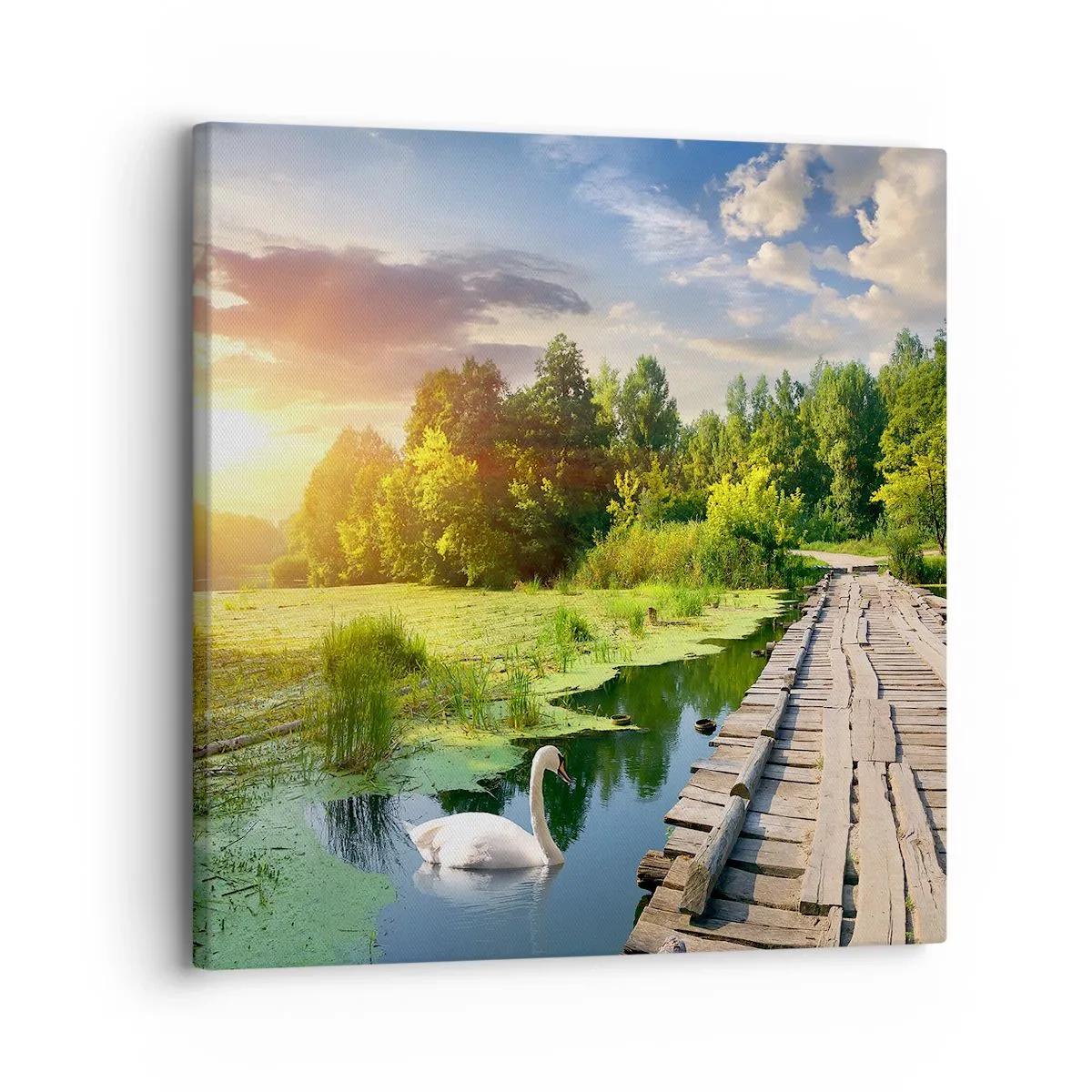 Schilderen op canvas - Zomer, zomer overal - 30x30 cm