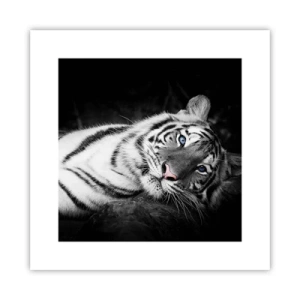 Poster - Wildheid en vrede - 30x30 cm