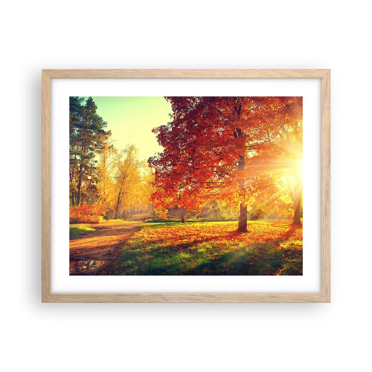 Een poster in een licht eiken lijst - Rood is mooi - 50x40 cm