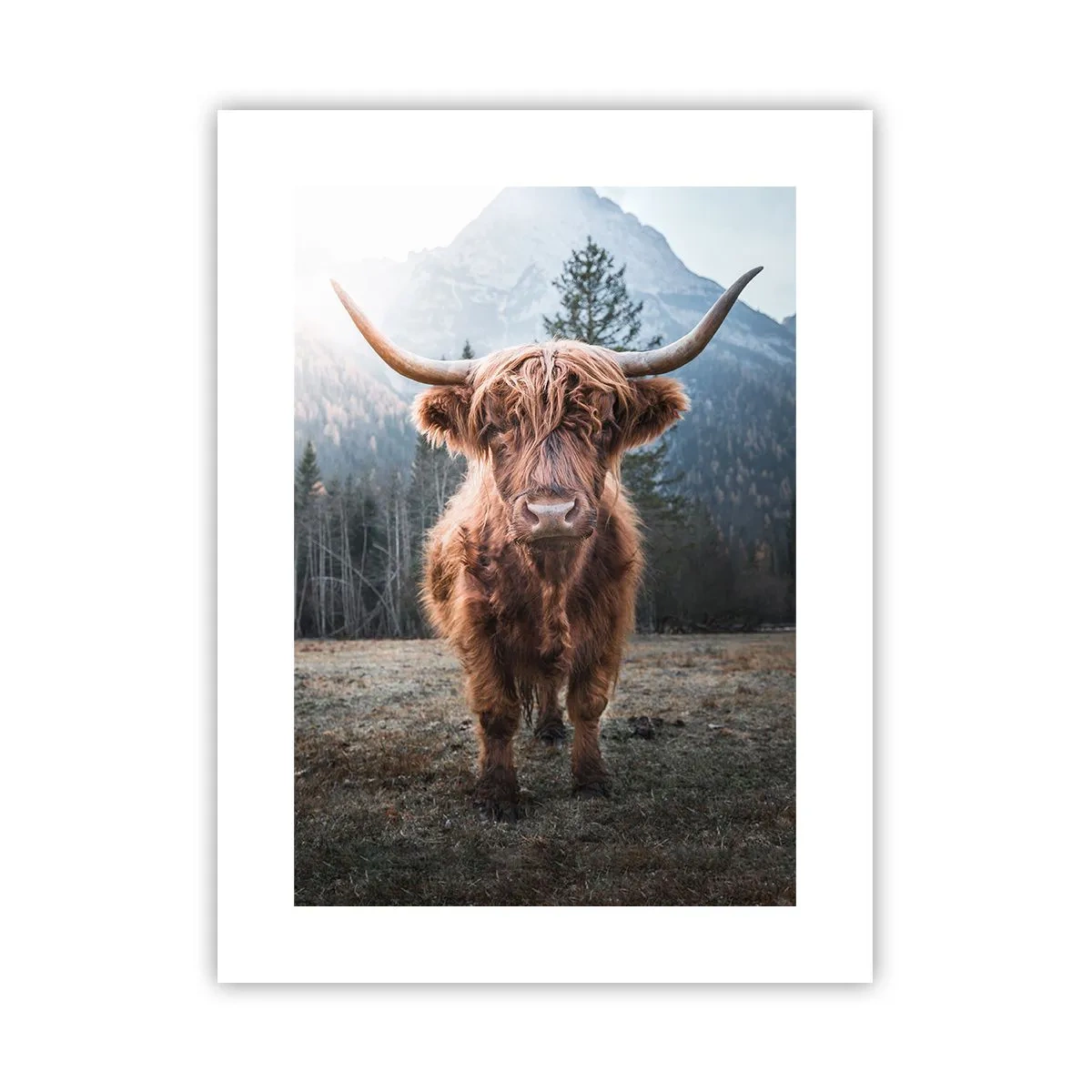 Poster - Groeten uit de bergweide - 30x40 cm