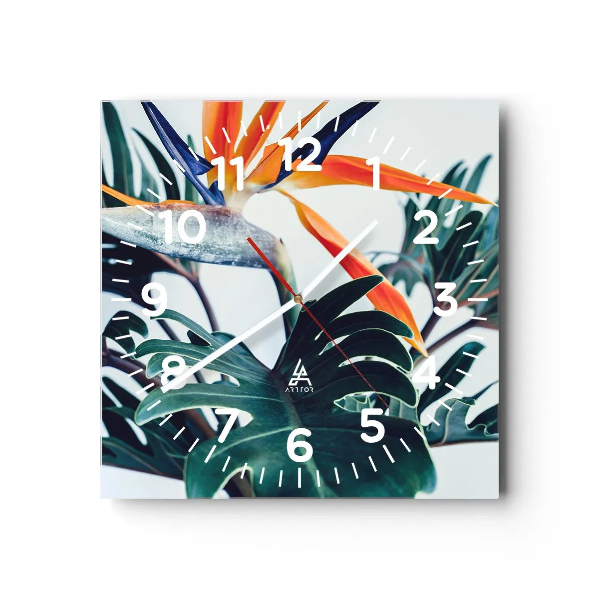 Wandklok - Klok - Vogelstruik - 40x40 cm