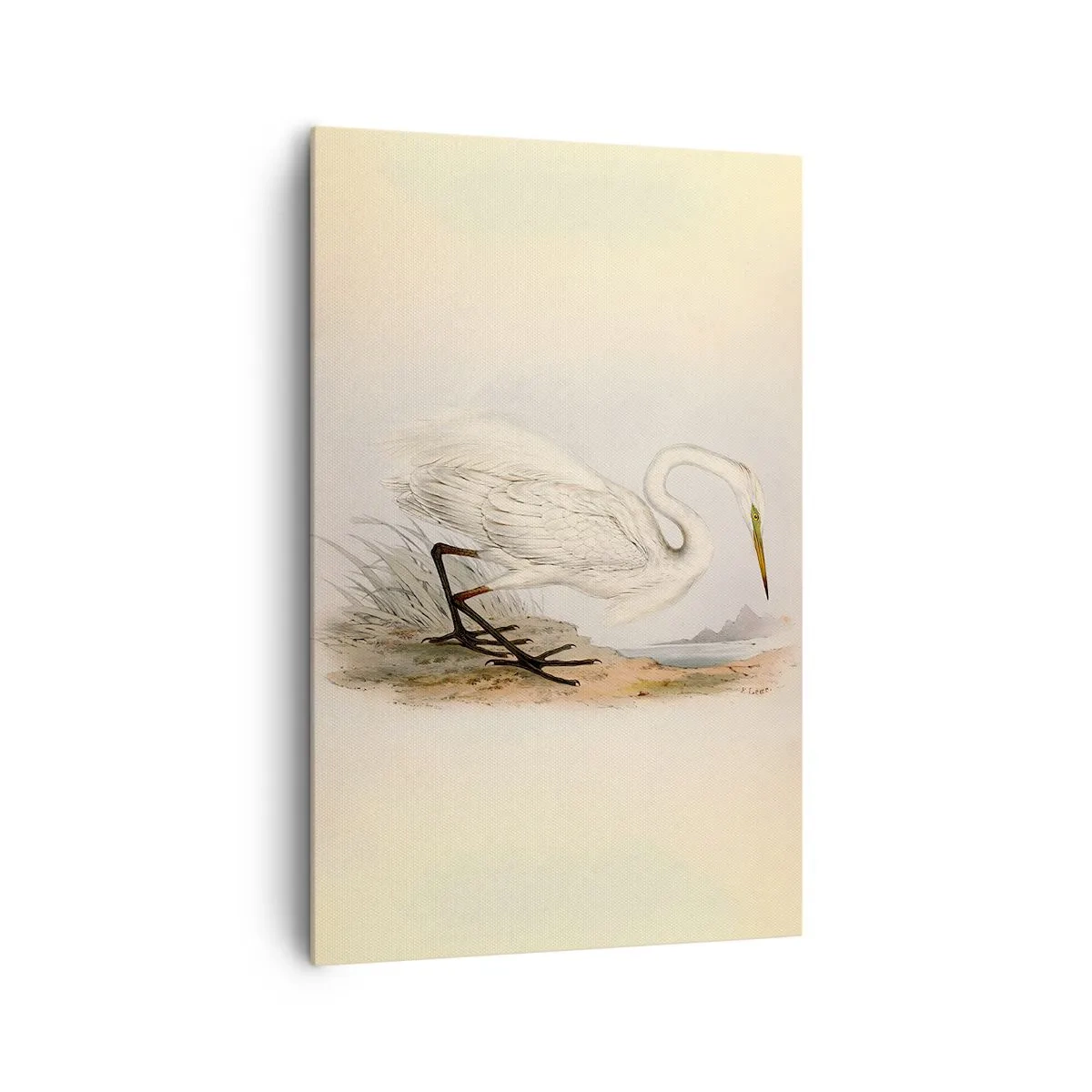 Schilderen op canvas - Dame op de biezen - 80x120 cm