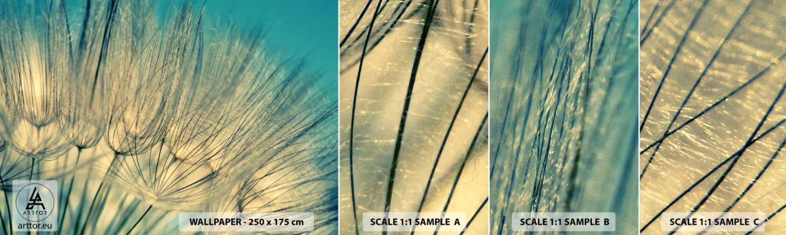 Fotobehang Staaltje Standard Eco - In afwachting van de wind - Paardebloem, Wei, Natuur - 100x30 cm