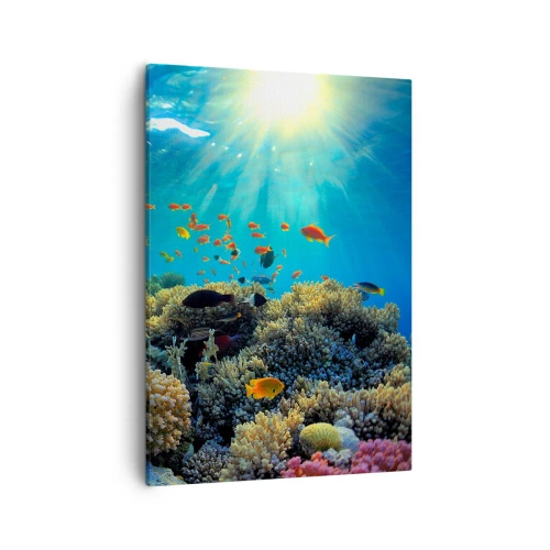 Schilderen op canvas - Onderwater schatten - 50x70 cm