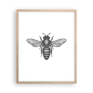 Een poster in een licht eiken lijst - Insectenportret - 40x50 cm