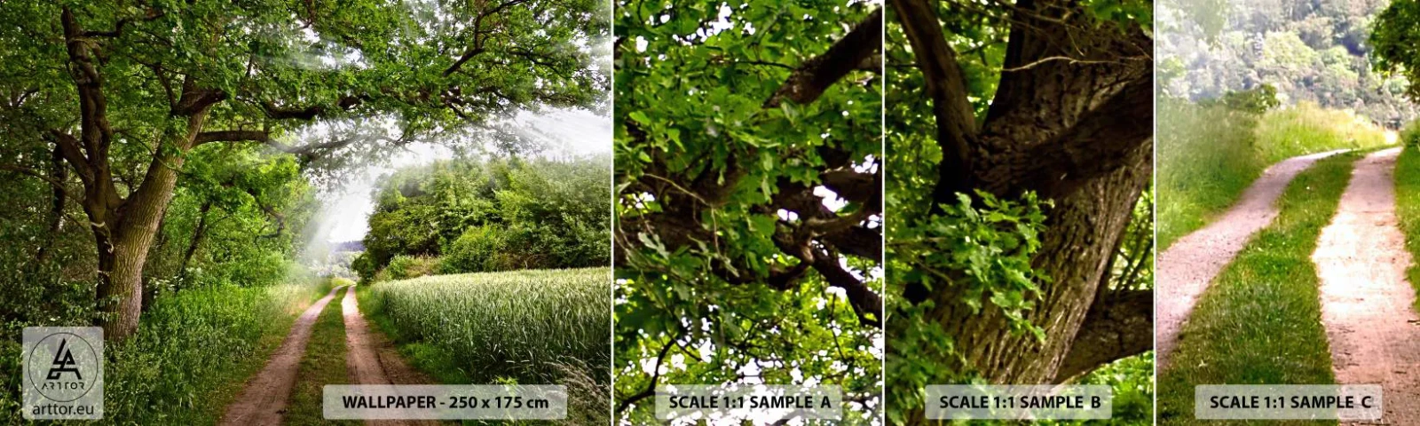 Fotobehang Staaltje Standard Eco - Et in Arcadia ego - Landschap, Zandweg, Natuur - 100x30 cm
