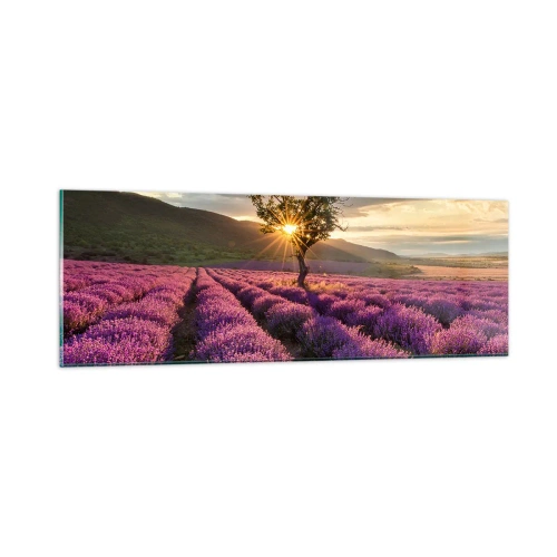 Schilderen op glas - Lila gekleurd aroma - 90x30 cm