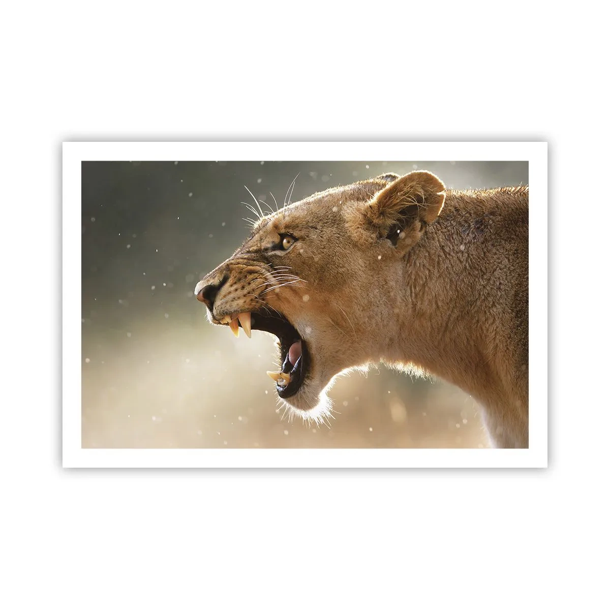 Poster - Probeer niet te luisteren - 91x61 cm