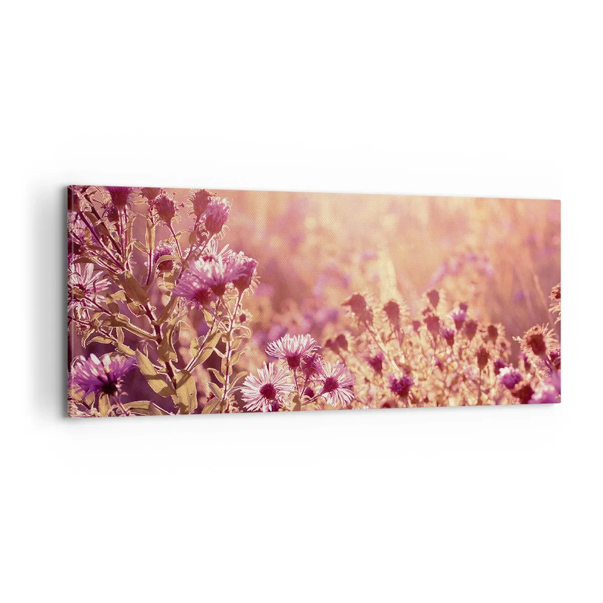 Schilderen op canvas - Voordat de zomer voorbij is - 100x40 cm