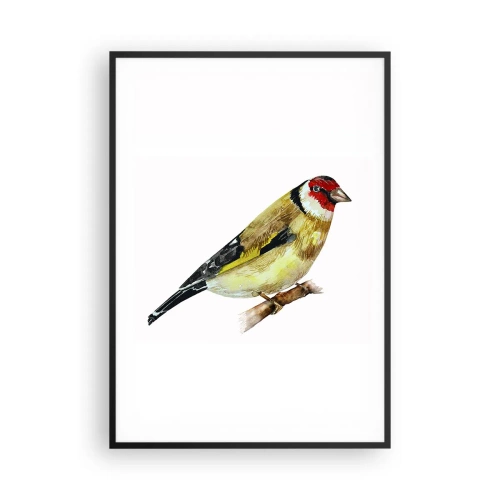 Poster in een zwarte lijst - Vogel portret - 70x100 cm