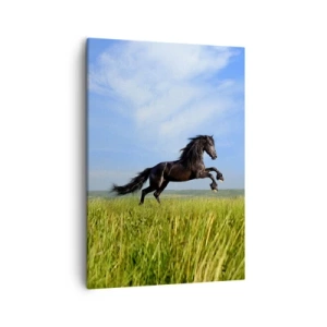 Schilderen op canvas - Een spannend manifest van vrijheid - 50x70 cm