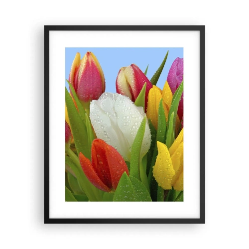 Poster in een zwarte lijst - Een bloemenregenboog in dauwdruppels - 40x50 cm