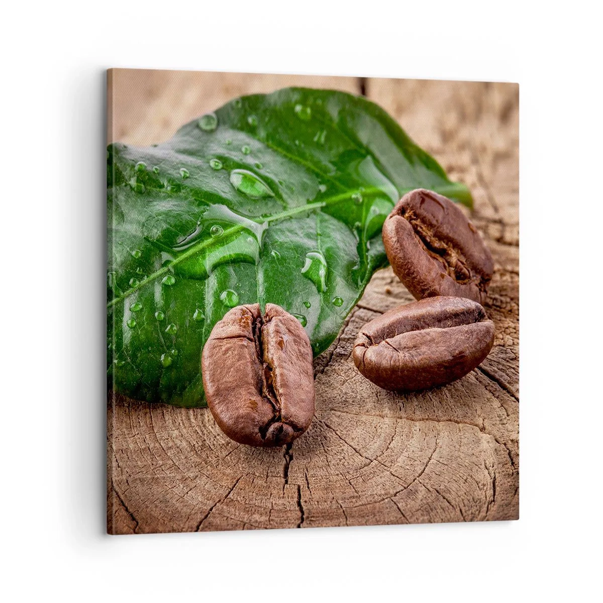 Schilderen op canvas - De meest ware en zwarte - 60x60 cm