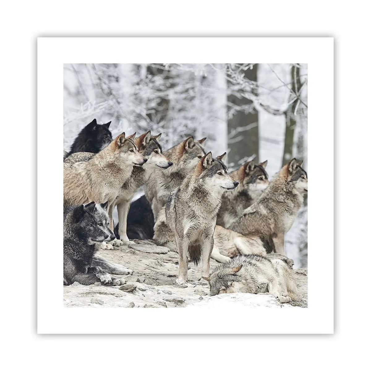 Poster - Familie en vrienden - 40x40 cm