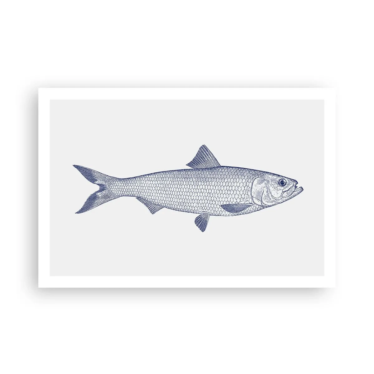 Poster - Groeten uit de noordelijke zeeën - 91x61 cm