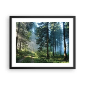 Poster in een zwarte lijst - Stralend in de ochtend - 50x40 cm