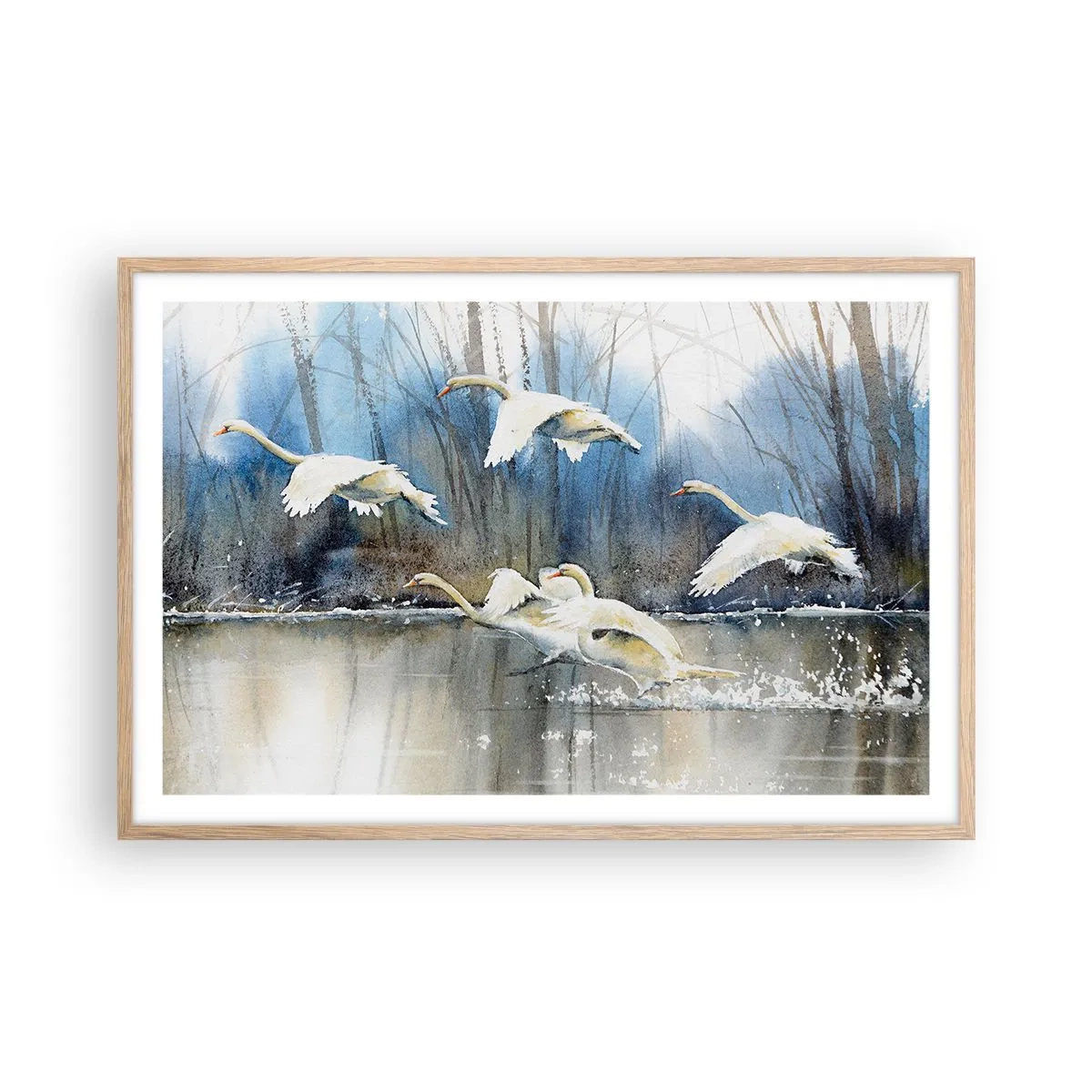 Een poster in een licht eiken lijst - Zoals in het sprookje over wilde zwanen - 91x61 cm