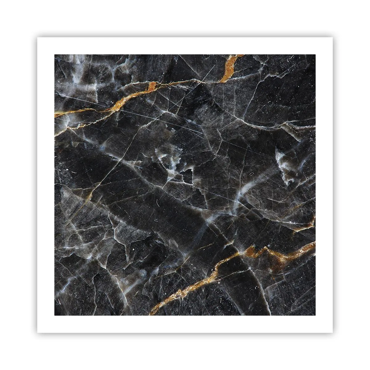 Poster - Het innerlijke leven van de steen - 60x60 cm