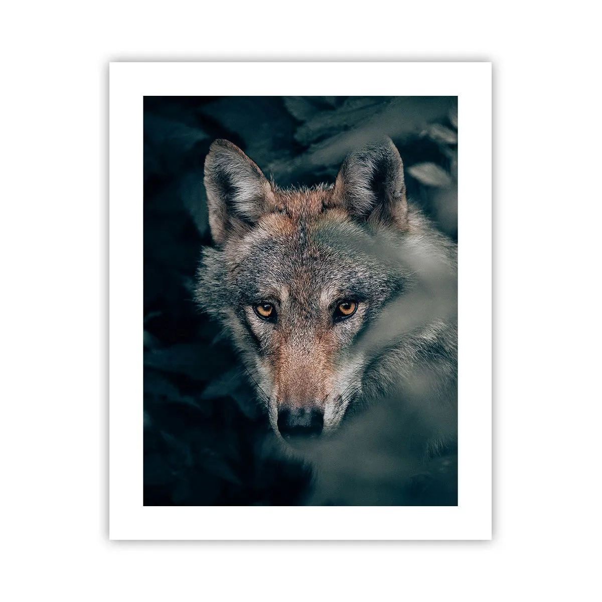 Poster - Jager - 40x50 cm