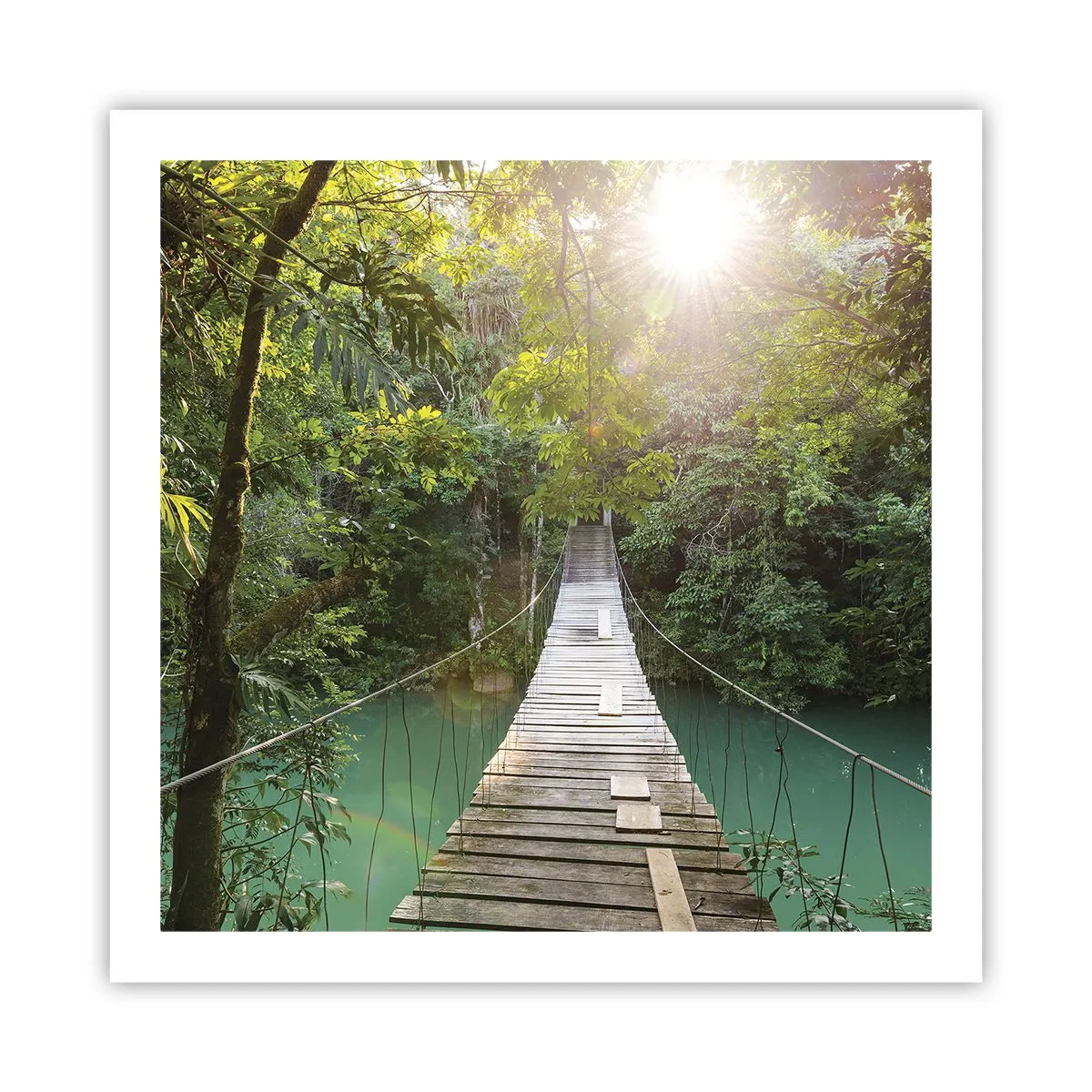 Poster - Over het azuurblauwe water naar het azuurblauwe woud - 60x60 cm