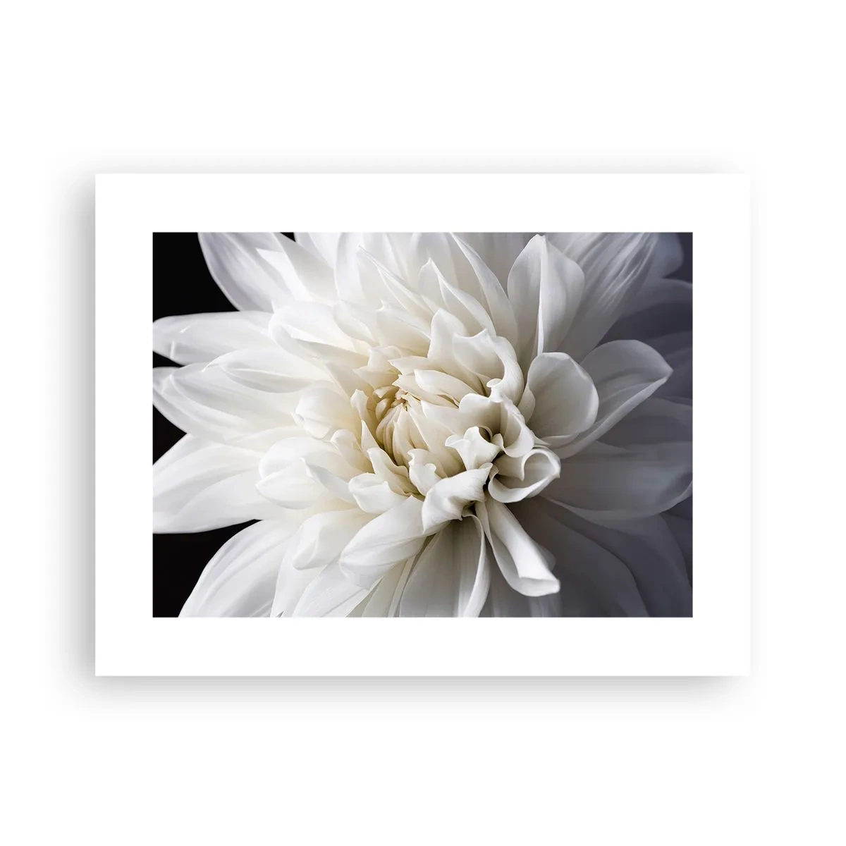 Poster - Ochtend van de bruid - 40x30 cm